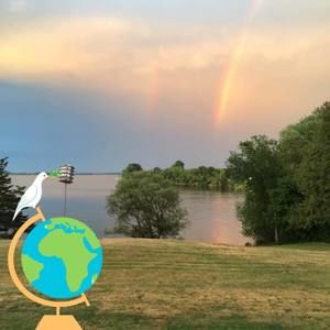 Meet your Posher, Betty